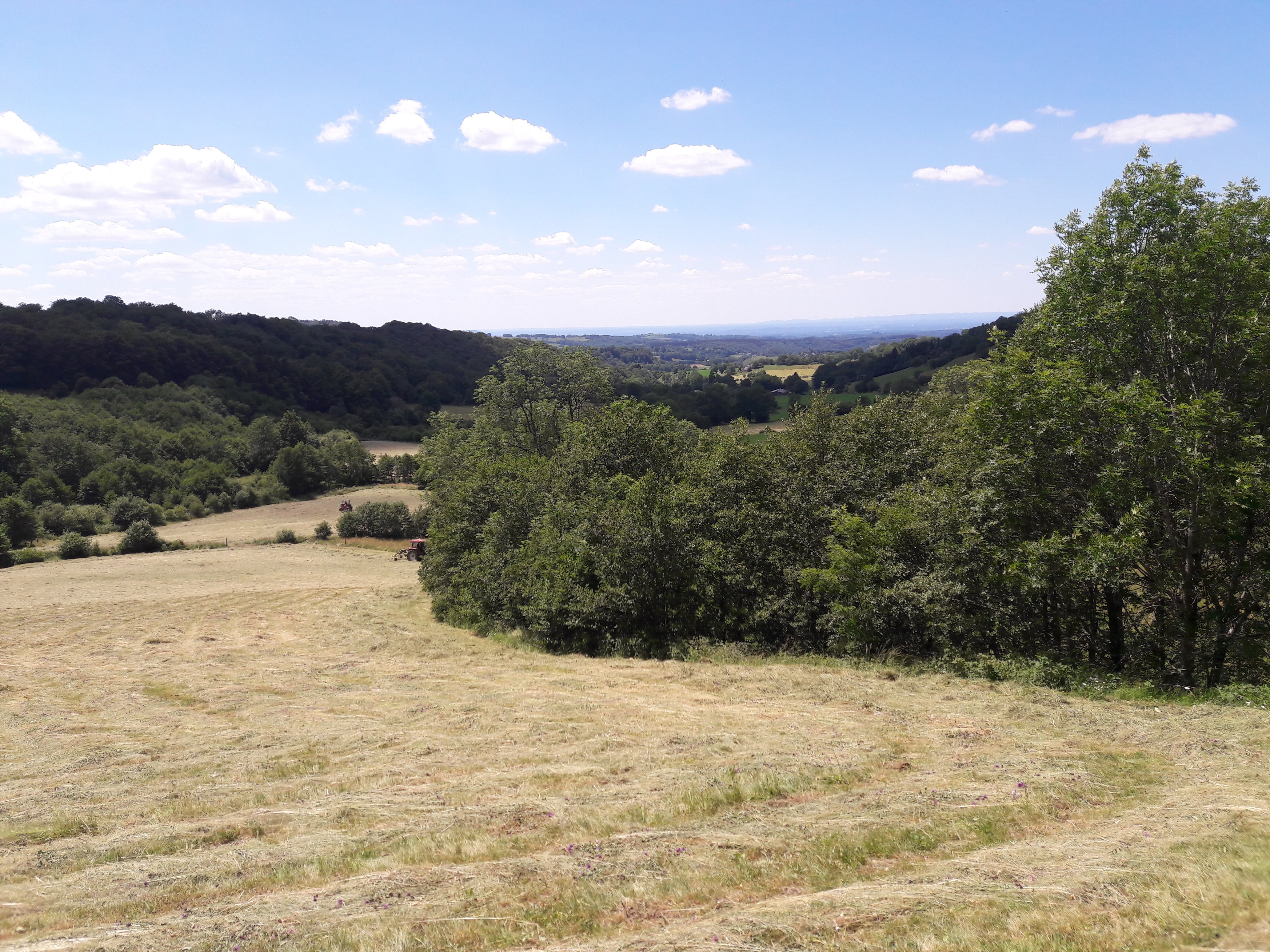 Paysage en été, de la vallée dans laquelle se trouve le gîte.