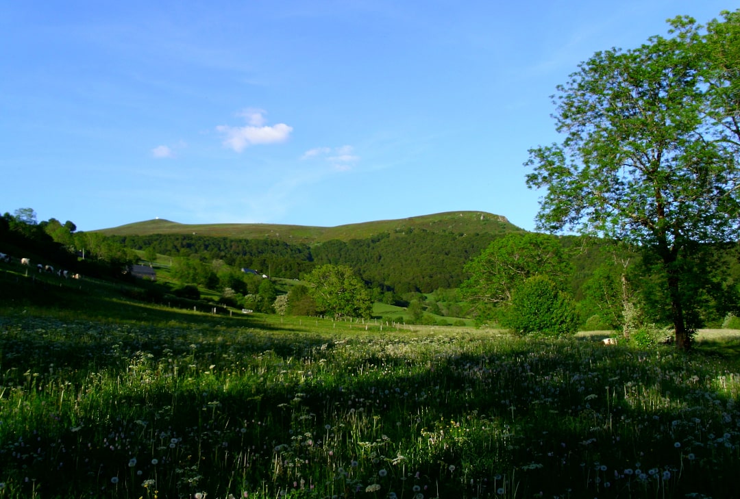 Photo du Mont Redon, faisant parti du Massif du Sancy, au printemps. Visible depuis le Gîte.